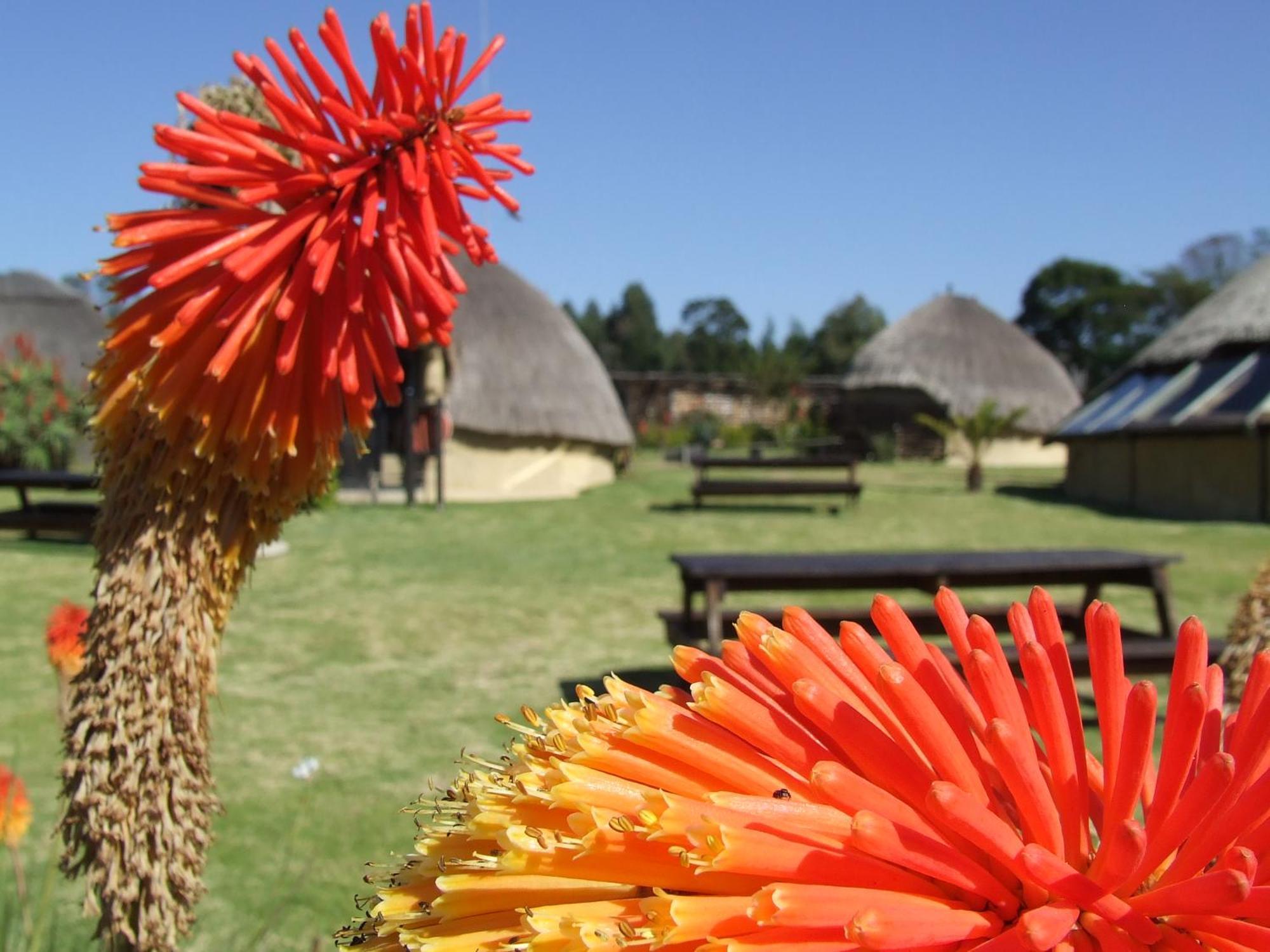 Hawane Resort Mbabane Exterior foto